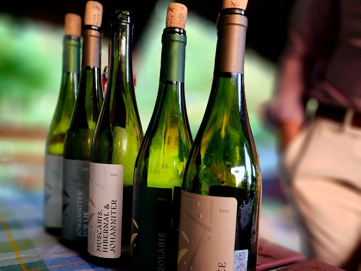 Degustacje lokalnych win - Winnica Dolina Drwęcy - Chata Leśna Polana - Pojezierze Brodnickie 